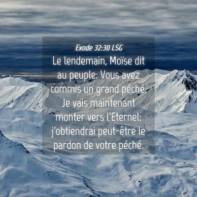 Picture 04 - Exode 32:30 LSG - Le lendemain, Moïse dit au peuple: Vous avez - Bible Verse Picture