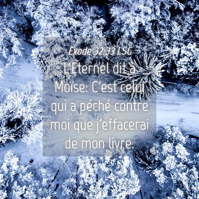 Picture 04 - Exode 32:33 LSG - L'Eternel dit à Moïse: C'est celui qui a - Bible Verse Picture