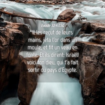 Picture 04 - Exode 32:4 LSG - Il les reçut de leurs mains, jeta l'or dans un - Bible Verse Picture