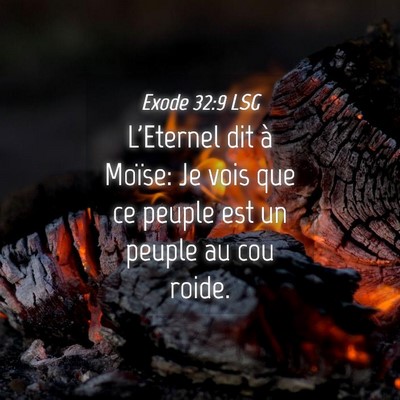 Picture 04 - Exode 32:9 LSG - L'Eternel dit à Moïse: Je vois que ce peuple - Bible Verse Picture