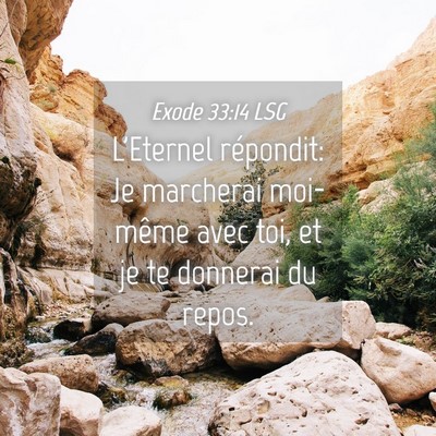 Picture 04 - Exode 33:14 LSG - L'Eternel répondit: Je marcherai moi-même avec - Bible Verse Picture
