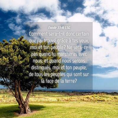 Picture 04 - Exode 33:16 LSG - Comment sera-t-il donc certain que j'ai trouvé - Bible Verse Picture