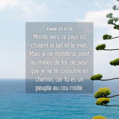 Picture 04 - Exode 33:3 LSG - Monte vers ce pays où coulent le lait et le - Bible Verse Picture