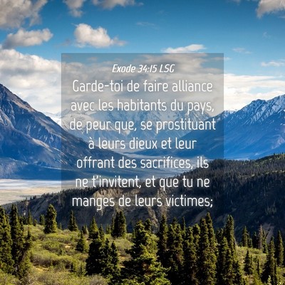 Picture 04 - Exode 34:15 LSG - Garde-toi de faire alliance avec les habitants du - Bible Verse Picture