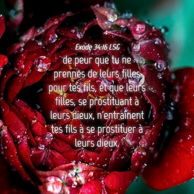 Picture 04 - Exode 34:16 LSG - de peur que tu ne prennes de leurs filles pour - Bible Verse Picture