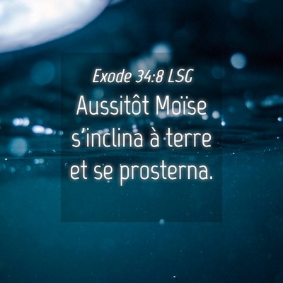 Picture 04 - Exode 34:8 LSG - Aussitôt Moïse s'inclina à terre et se - Bible Verse Picture