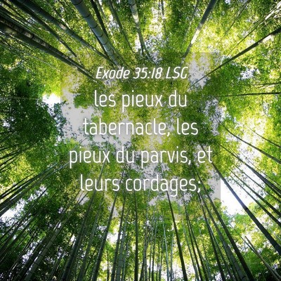 Picture 04 - Exode 35:18 LSG - les pieux du tabernacle, les pieux du parvis, et - Bible Verse Picture