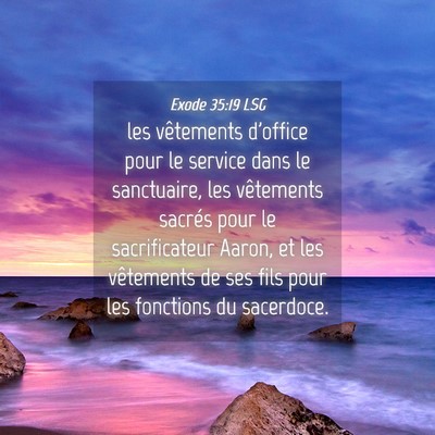 Picture 04 - Exode 35:19 LSG - les vêtements d'office pour le service dans le - Bible Verse Picture