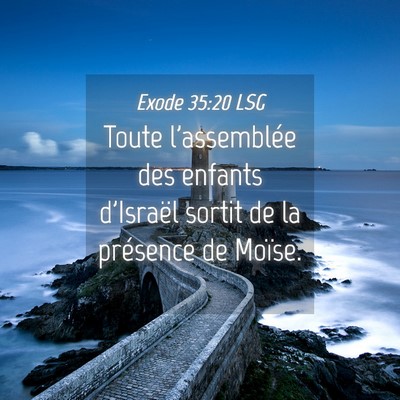 Picture 04 - Exode 35:20 LSG - Toute l'assemblée des enfants d'Israël sortit - Bible Verse Picture