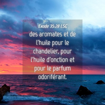 Picture 04 - Exode 35:28 LSG - des aromates et de l'huile pour le chandelier, - Bible Verse Picture