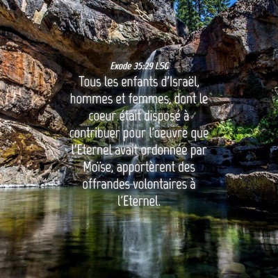 Picture 04 - Exode 35:29 LSG - Tous les enfants d'Israël, hommes et femmes, - Bible Verse Picture