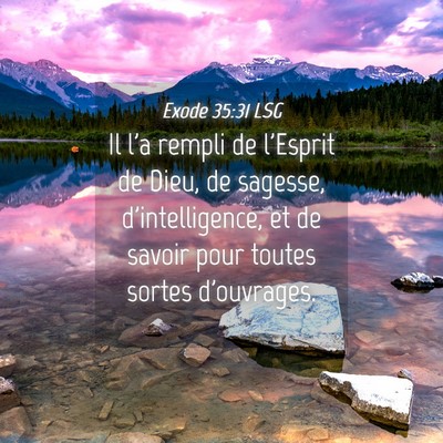 Picture 04 - Exode 35:31 LSG - Il l'a rempli de l'Esprit de Dieu, de sagesse, - Bible Verse Picture
