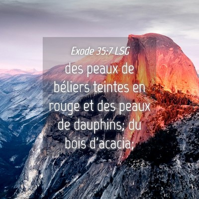 Picture 04 - Exode 35:7 LSG - des peaux de béliers teintes en rouge et des - Bible Verse Picture