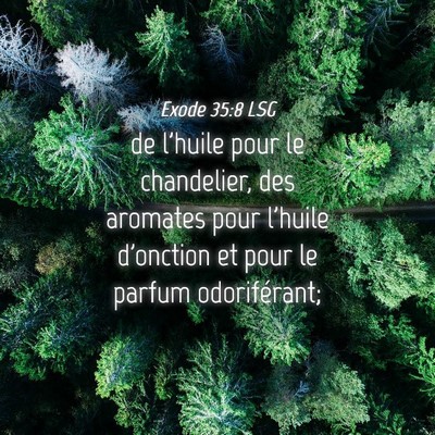 Picture 04 - Exode 35:8 LSG - de l'huile pour le chandelier, des aromates pour - Bible Verse Picture