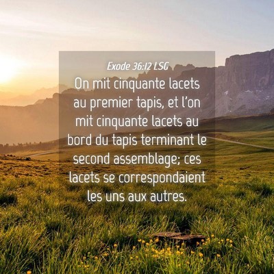 Picture 04 - Exode 36:12 LSG - On mit cinquante lacets au premier tapis, et l'on - Bible Verse Picture
