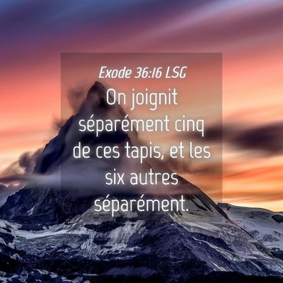 Picture 04 - Exode 36:16 LSG - On joignit séparément cinq de ces tapis, et les - Bible Verse Picture