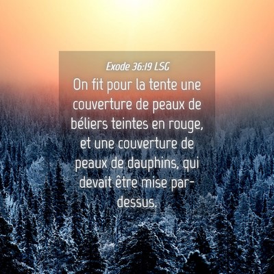 Picture 04 - Exode 36:19 LSG - On fit pour la tente une couverture de peaux de - Bible Verse Picture