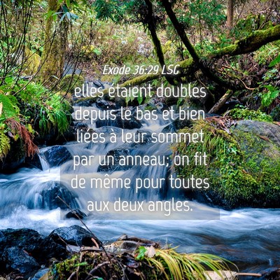 Picture 04 - Exode 36:29 LSG - elles étaient doubles depuis le bas et bien - Bible Verse Picture
