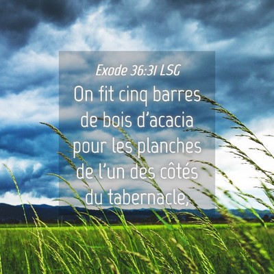 Picture 04 - Exode 36:31 LSG - On fit cinq barres de bois d'acacia pour les - Bible Verse Picture