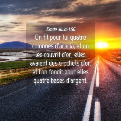 Picture 04 - Exode 36:36 LSG - On fit pour lui quatre colonnes d'acacia, et on - Bible Verse Picture