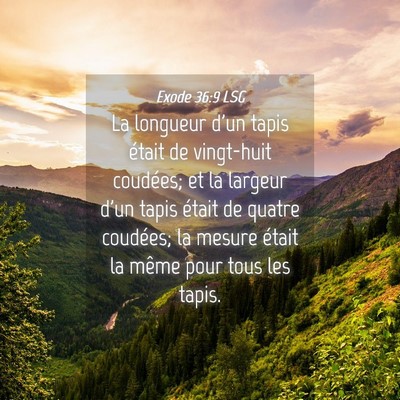Picture 04 - Exode 36:9 LSG - La longueur d'un tapis était de vingt-huit - Bible Verse Picture