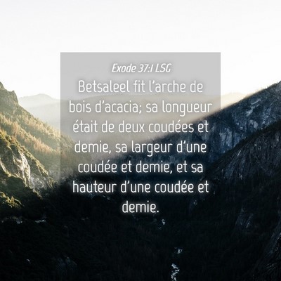 Picture 04 - Exode 37:1 LSG - Betsaleel fit l'arche de bois d'acacia; sa - Bible Verse Picture