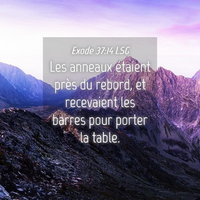 Picture 04 - Exode 37:14 LSG - Les anneaux étaient près du rebord, et - Bible Verse Picture