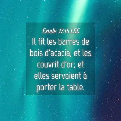 Picture 04 - Exode 37:15 LSG - Il fit les barres de bois d'acacia, et les - Bible Verse Picture