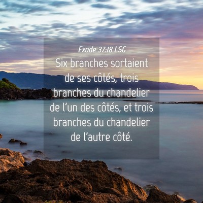 Picture 04 - Exode 37:18 LSG - Six branches sortaient de ses côtés, trois - Bible Verse Picture