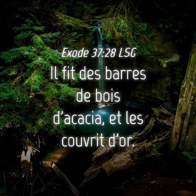 Picture 04 - Exode 37:28 LSG - Il fit des barres de bois d'acacia, et les - Bible Verse Picture
