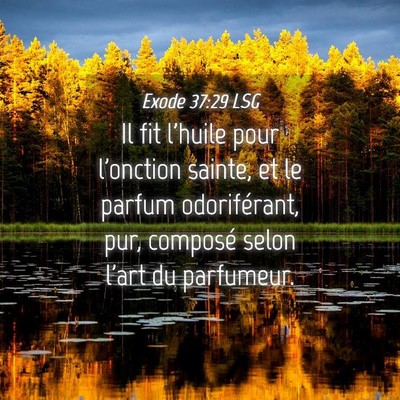 Picture 04 - Exode 37:29 LSG - Il fit l'huile pour l'onction sainte, et le - Bible Verse Picture
