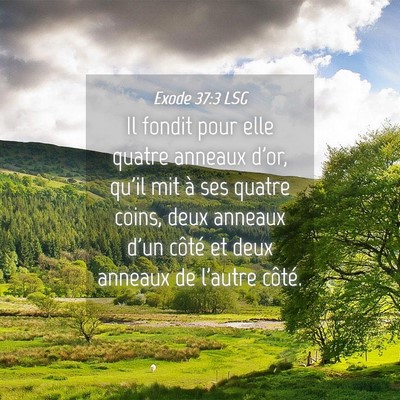 Picture 04 - Exode 37:3 LSG - Il fondit pour elle quatre anneaux d'or, qu'il - Bible Verse Picture