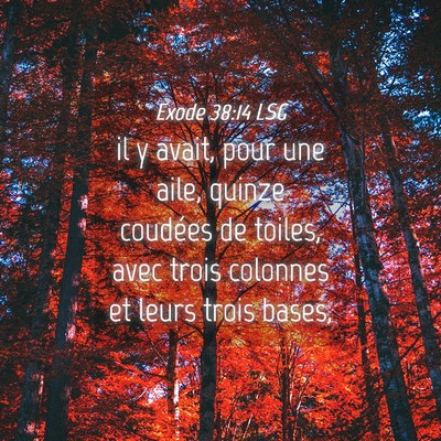 Picture 04 - Exode 38:14 LSG - il y avait, pour une aile, quinze coudées de - Bible Verse Picture