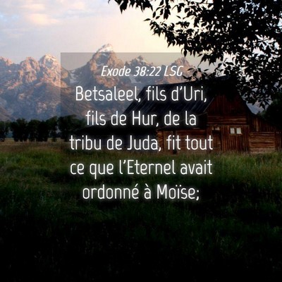 Picture 04 - Exode 38:22 LSG - Betsaleel, fils d'Uri, fils de Hur, de la tribu - Bible Verse Picture
