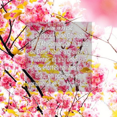 Picture 04 - Exode 38:23 LSG - il eut pour aide Oholiab, fils d'Ahisamac, de la - Bible Verse Picture