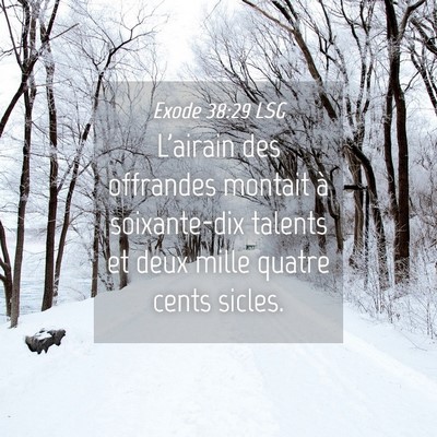 Picture 04 - Exode 38:29 LSG - L'airain des offrandes montait à soixante-dix - Bible Verse Picture
