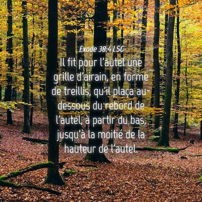 Picture 04 - Exode 38:4 LSG - Il fit pour l'autel une grille d'airain, en forme - Bible Verse Picture
