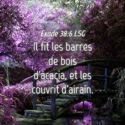 Picture 04 - Exode 38:6 LSG - Il fit les barres de bois d'acacia, et les - Bible Verse Picture