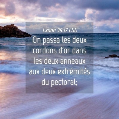 Picture 04 - Exode 39:17 LSG - On passa les deux cordons d'or dans les deux - Bible Verse Picture
