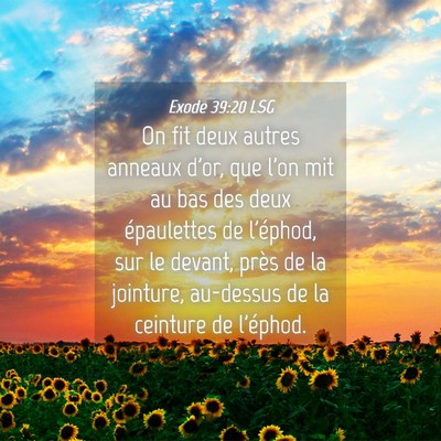 Picture 04 - Exode 39:20 LSG - On fit deux autres anneaux d'or, que l'on mit au - Bible Verse Picture