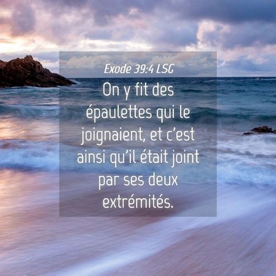 Picture 04 - Exode 39:4 LSG - On y fit des épaulettes qui le joignaient, et - Bible Verse Picture