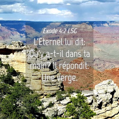 Picture 04 - Exode 4:2 LSG - L'Eternel lui dit: Qu'y a-t-il dans ta main? Il - Bible Verse Picture