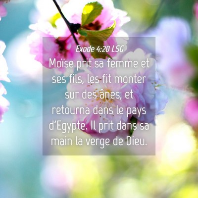 Picture 04 - Exode 4:20 LSG - Moïse prit sa femme et ses fils, les fit monter - Bible Verse Picture