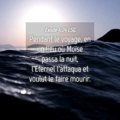 Picture 04 - Exode 4:24 LSG - Pendant le voyage, en un lieu où Moïse passa la - Bible Verse Picture
