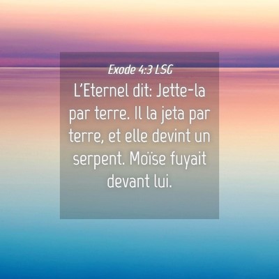 Picture 04 - Exode 4:3 LSG - L'Eternel dit: Jette-la par terre. Il la jeta par - Bible Verse Picture