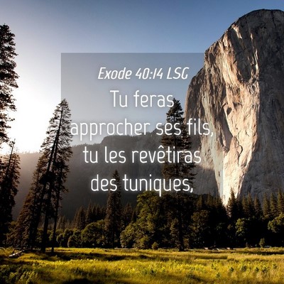 Picture 04 - Exode 40:14 LSG - Tu feras approcher ses fils, tu les revêtiras - Bible Verse Picture