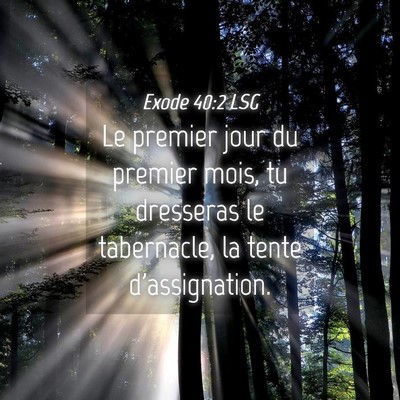 Picture 04 - Exode 40:2 LSG - Le premier jour du premier mois, tu dresseras le - Bible Verse Picture