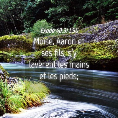 Picture 04 - Exode 40:31 LSG - Moïse, Aaron et ses fils, s'y lavèrent les - Bible Verse Picture