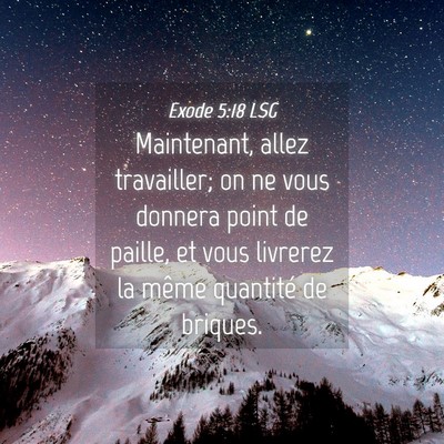 Picture 04 - Exode 5:18 LSG - Maintenant, allez travailler; on ne vous donnera - Bible Verse Picture
