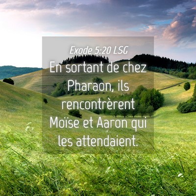 Picture 04 - Exode 5:20 LSG - En sortant de chez Pharaon, ils rencontrèrent - Bible Verse Picture